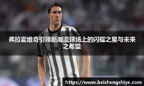 弗拉霍维奇引领新潮流球场上的闪耀之星与未来之希望