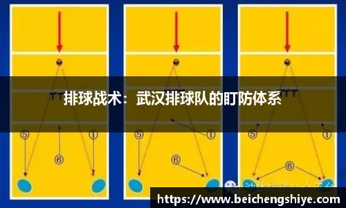 排球战术：武汉排球队的盯防体系